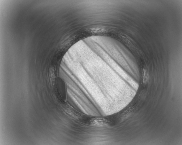 X0000060740372200512011426