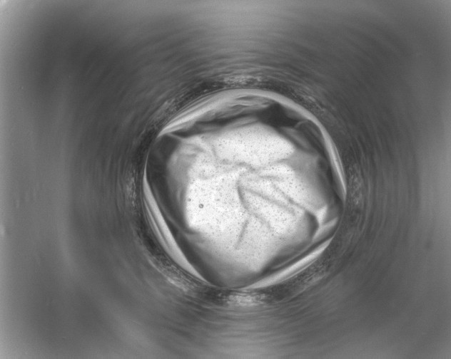 X0000060740375200512011426