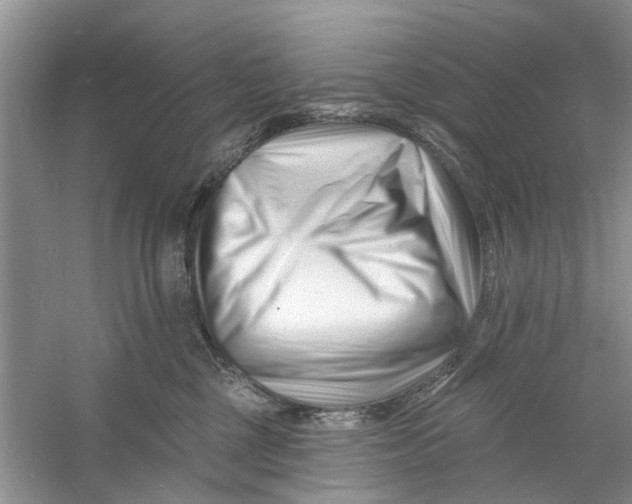 X0000060740377200512011426