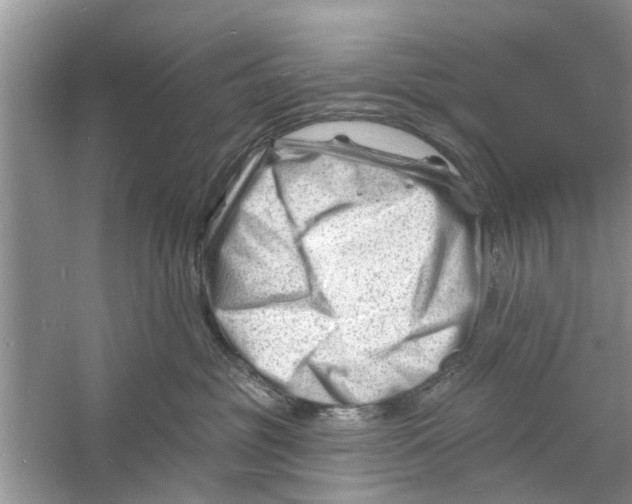 X0000060740381200512011426