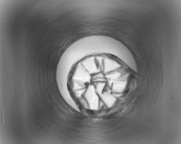 X0000060740384200512011426