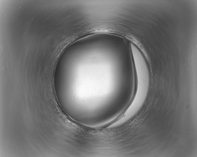 X0000060740385200512011426