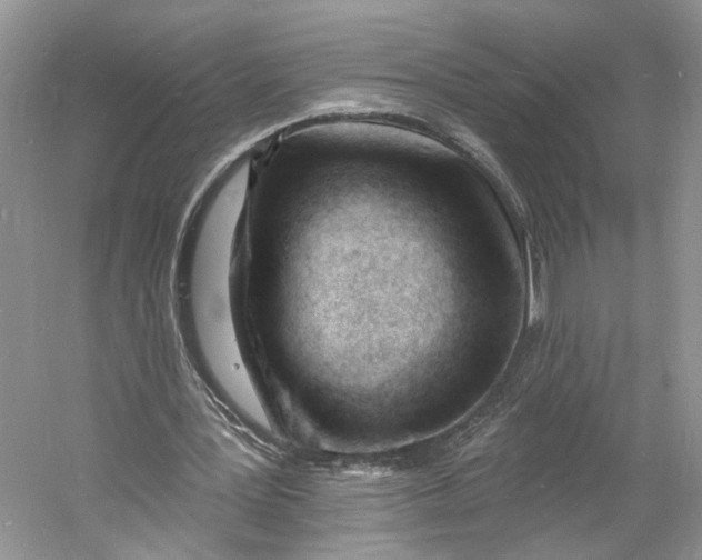 X0000060740387200512011425