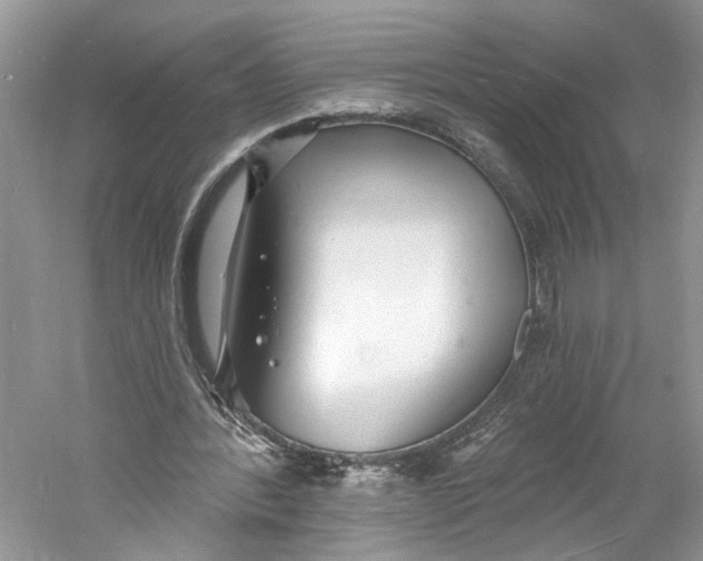 X0000060740388200512011425