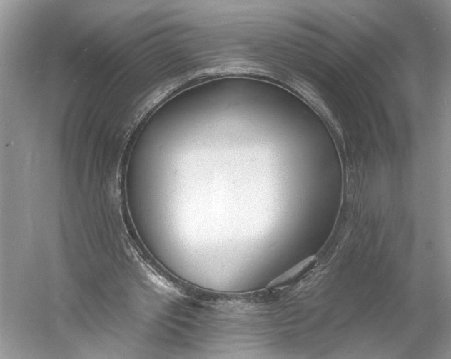 X0000060740389200512011425