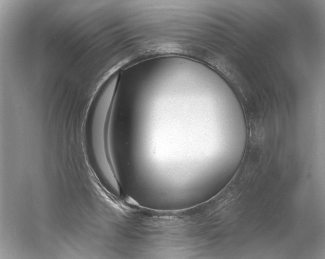 X0000060740390200512011425