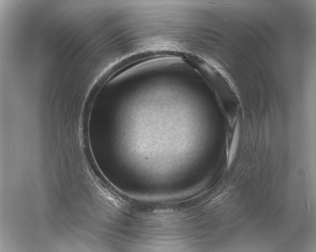 X0000060740391200512011425