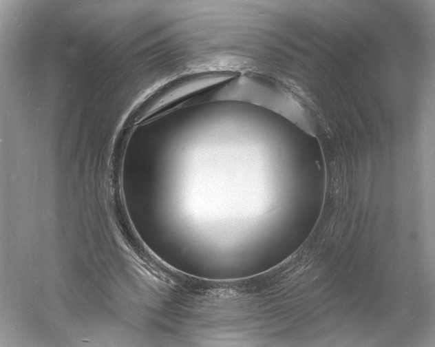 X0000060740392200512011425