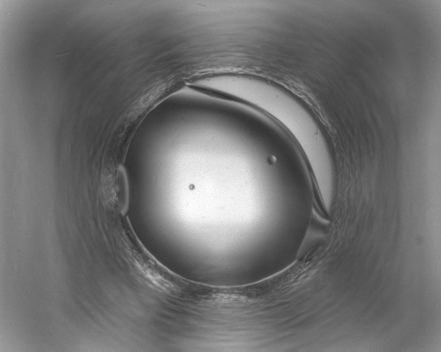 X0000060740393200512011425