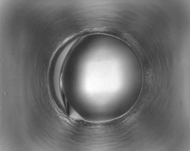 X0000060740395200512011425