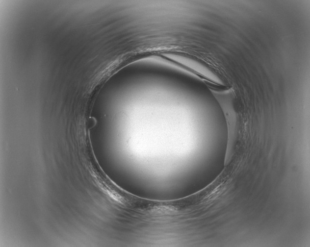 X0000060740397200512011425