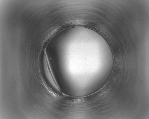 X0000060740398200512011425