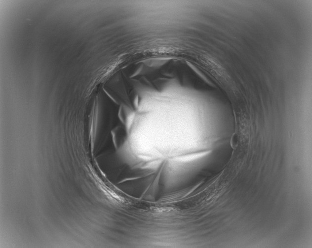 X0000060740401200512011425