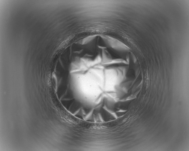 X0000060740403200512011425