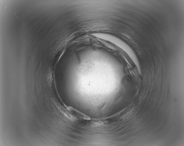 X0000060740405200512011425