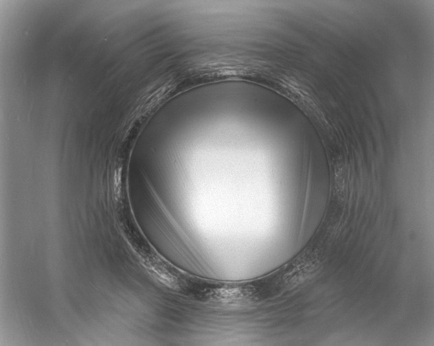 X0000060740406200512011425