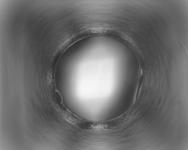 X0000060740407200512011425