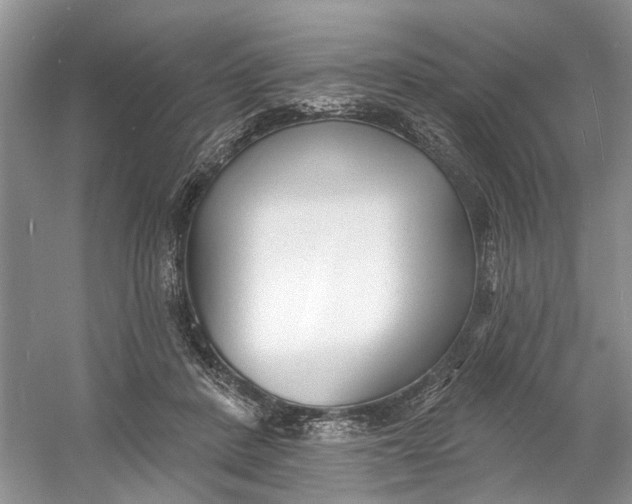 X0000060740408200512011425