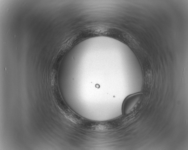 X0000060740412200512011425