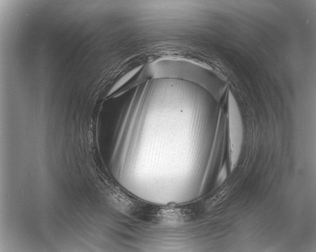 X0000060740413200512011425