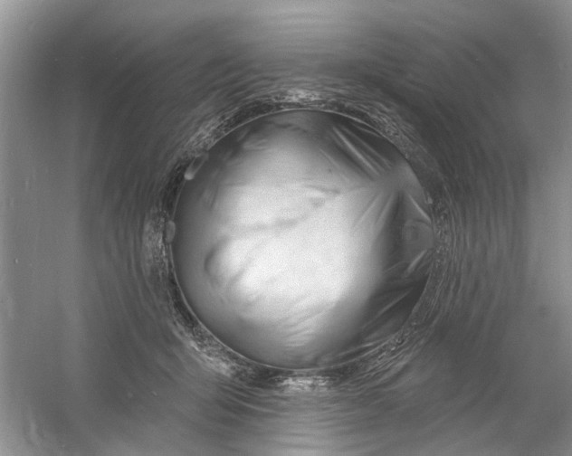 X0000060740415200512011425