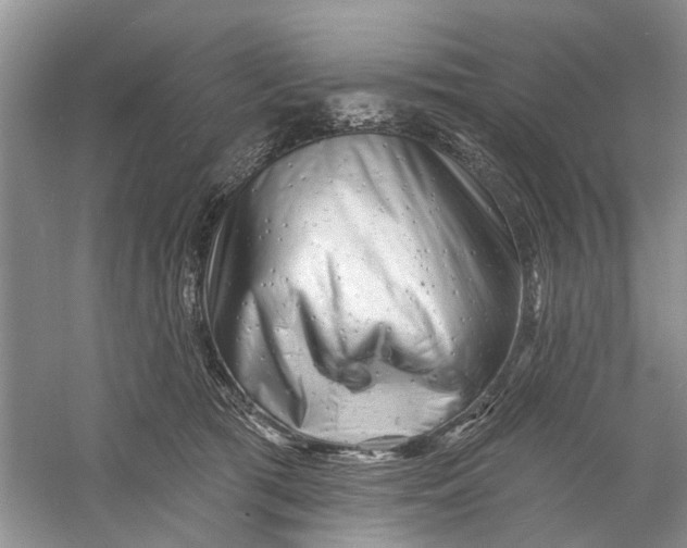 X0000060740417200512011425