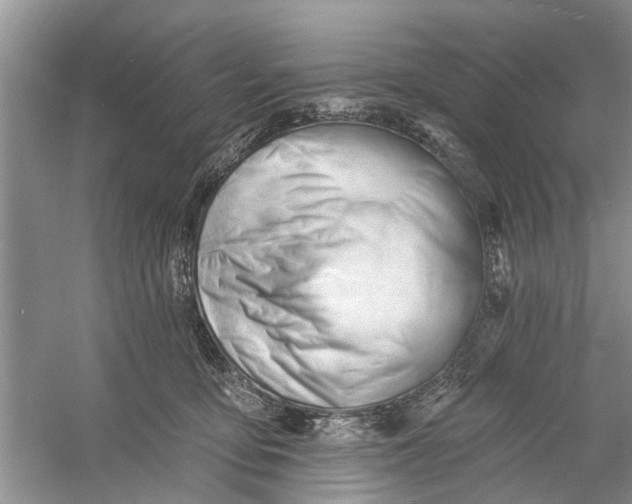 X0000060740419200512011425