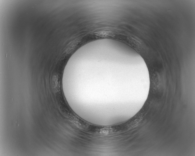 X0000060740420200512011425