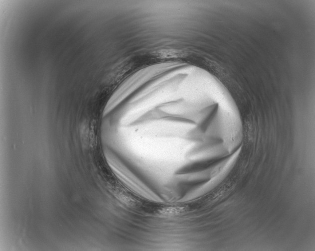 X0000060740422200512011425