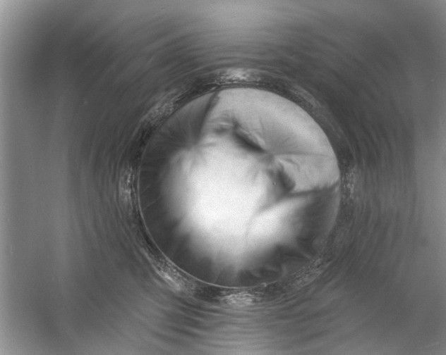 X0000060740423200512011425