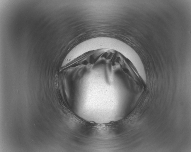 X0000060740425200512011425