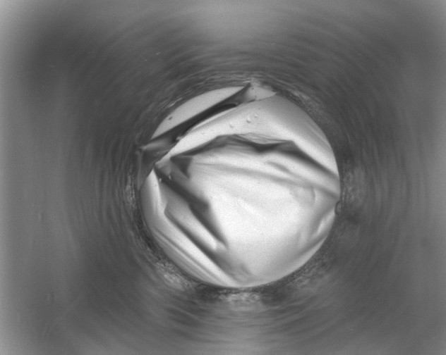 X0000060740426200512011425