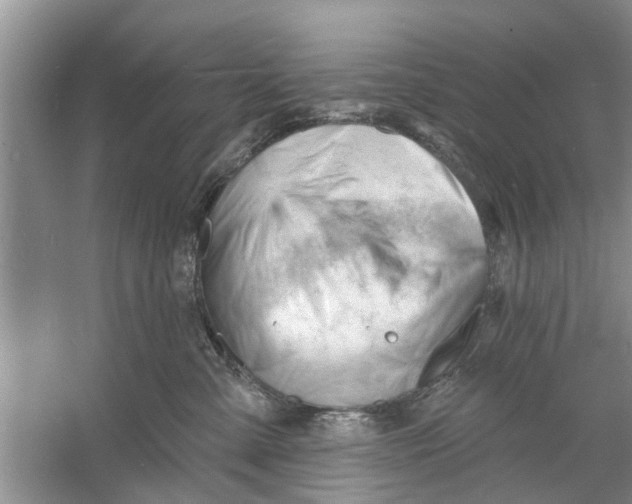 X0000060740427200512011425