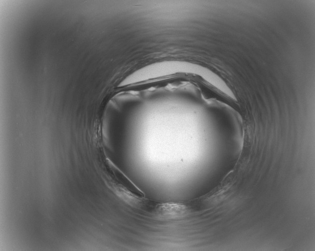 X0000060740429200512011425