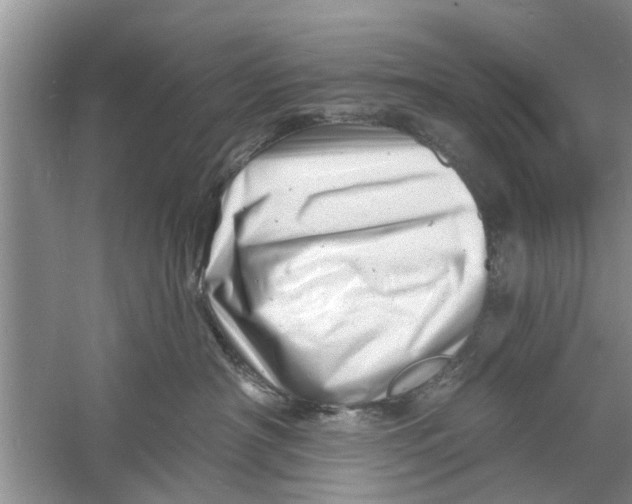 X0000060740430200512011425