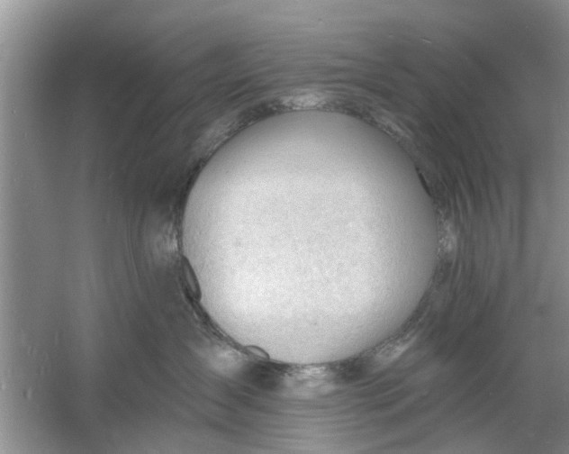 X0000060740431200512011425