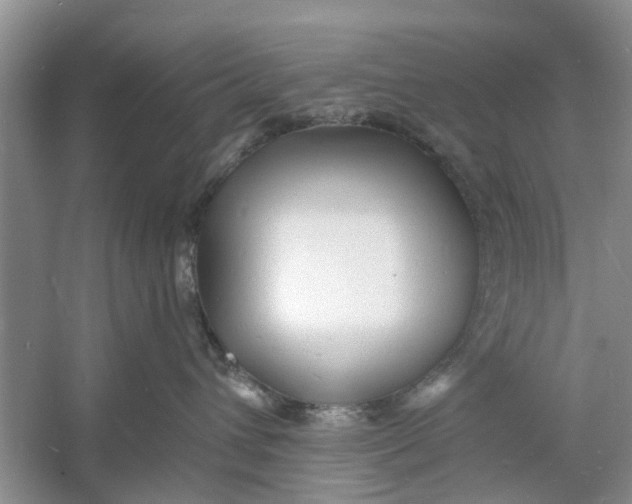 X0000060740432200512011425