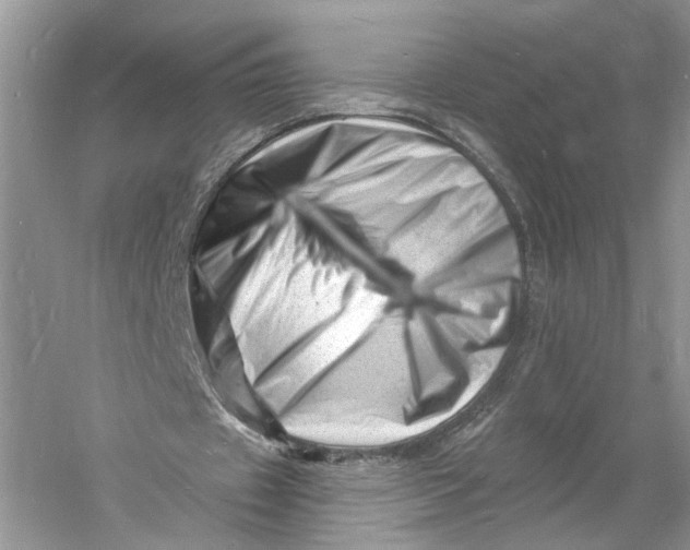 X0000060740433200512011424