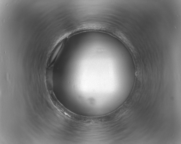 X0000060740434200512011424