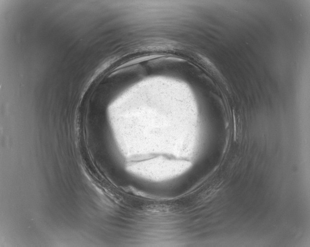 X0000060740435200512011424