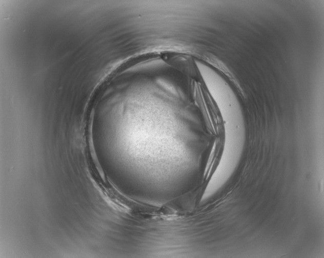 X0000060740436200512011424