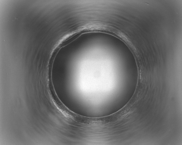 X0000060740438200512011424