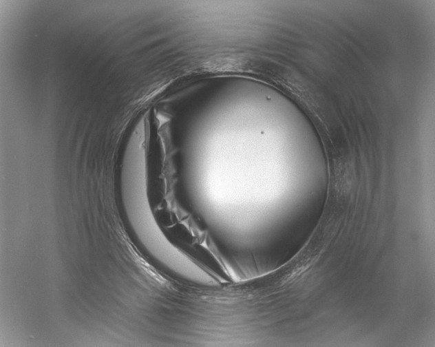 X0000060740441200512011424