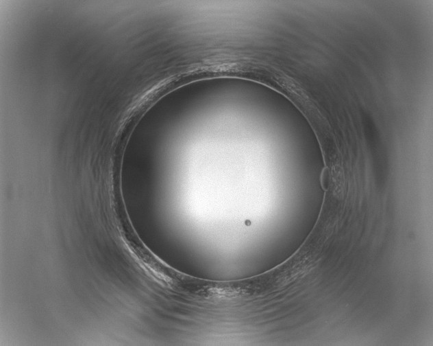 X0000060740442200512011424