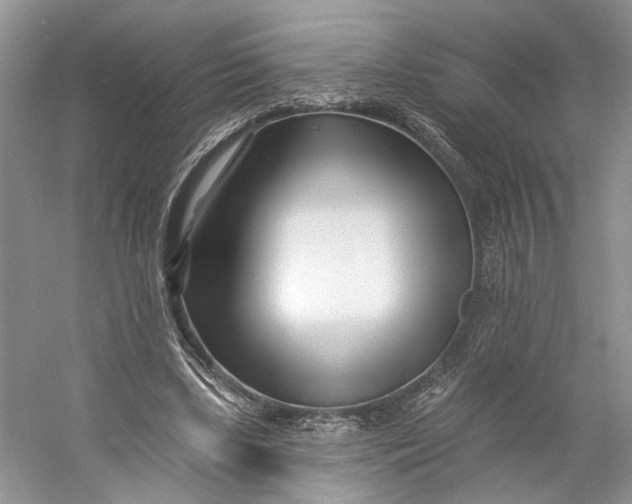 X0000060740443200512011424