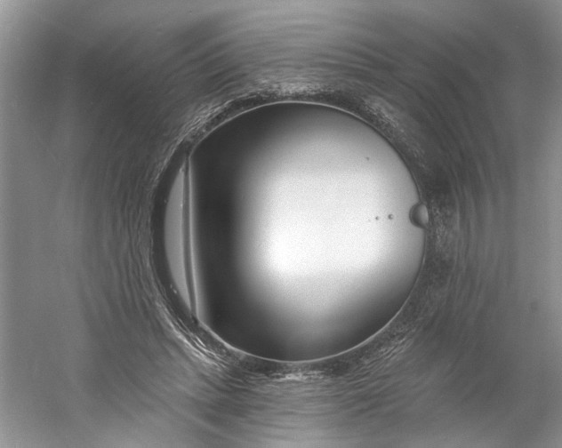 X0000060740447200512011424