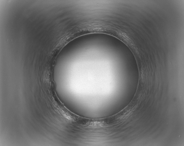 X0000060740449200512011424