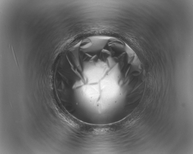 X0000060740450200512011424