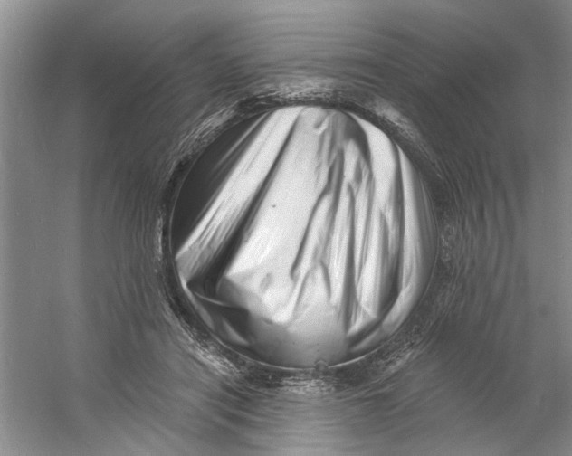 X0000060740454200512011424