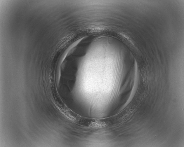 X0000060740455200512011424